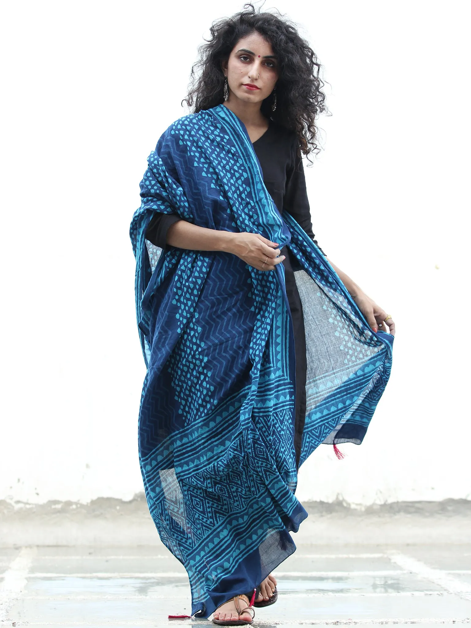 Indigo Sky Blue Cotton Hand Block Printed Dupatta With Tassels - D04170427